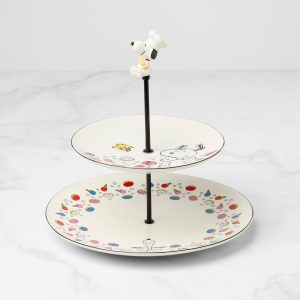 Chef Snoopy Tiered Server
